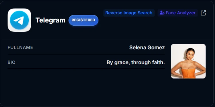 A matched profile on a messaging platform, shown with the account details the scan returned.